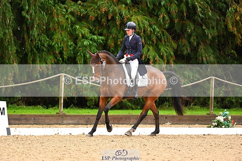 231021-114409-14804 - 238-LEXINGTON.III-Georgina.Wood-DR