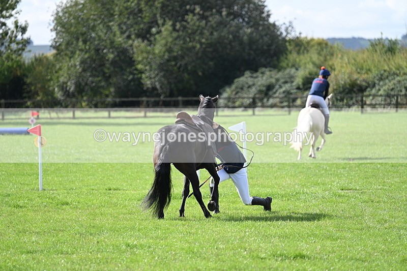 WJ7_8550 - 60cm Pairs