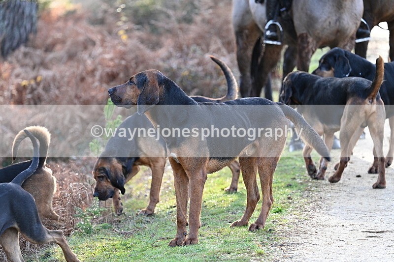 WJ7_7569 - Line 3 (no line 4 or 5)