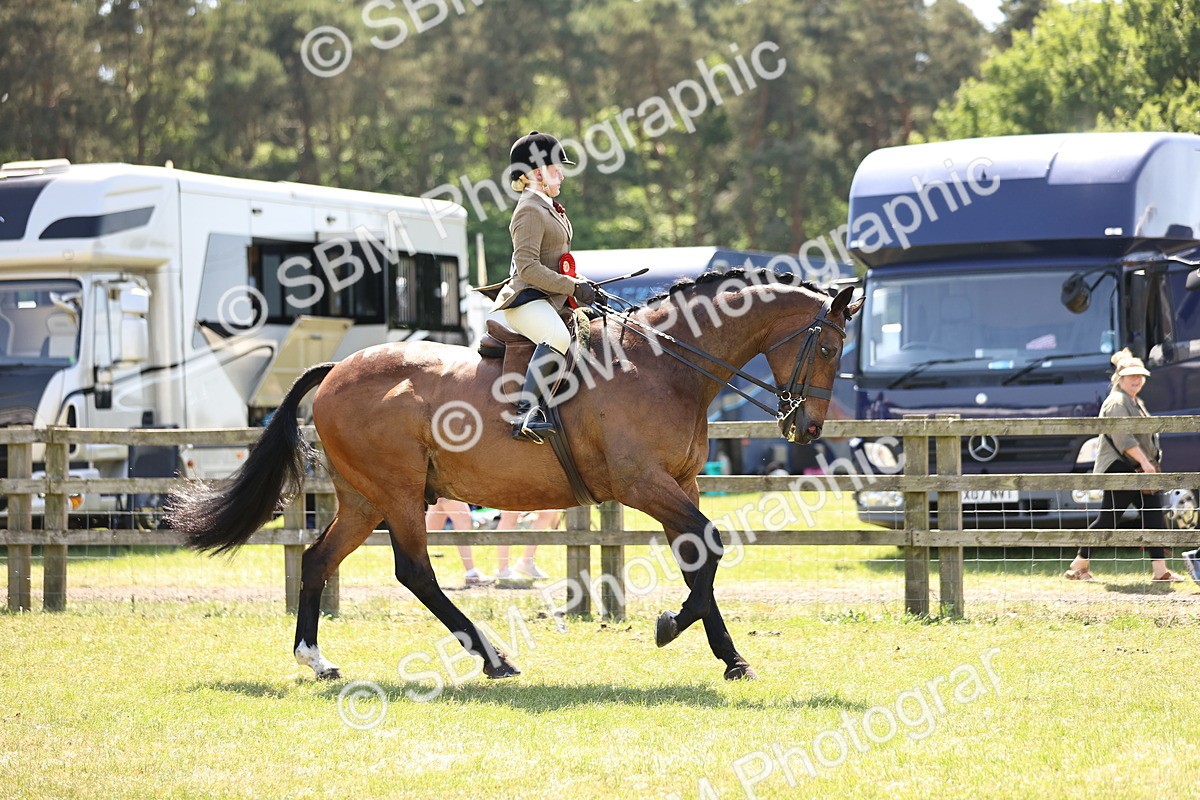 SBM_17796 - Class 81-83 - TSR Ridden Amateur of the Year - Horses