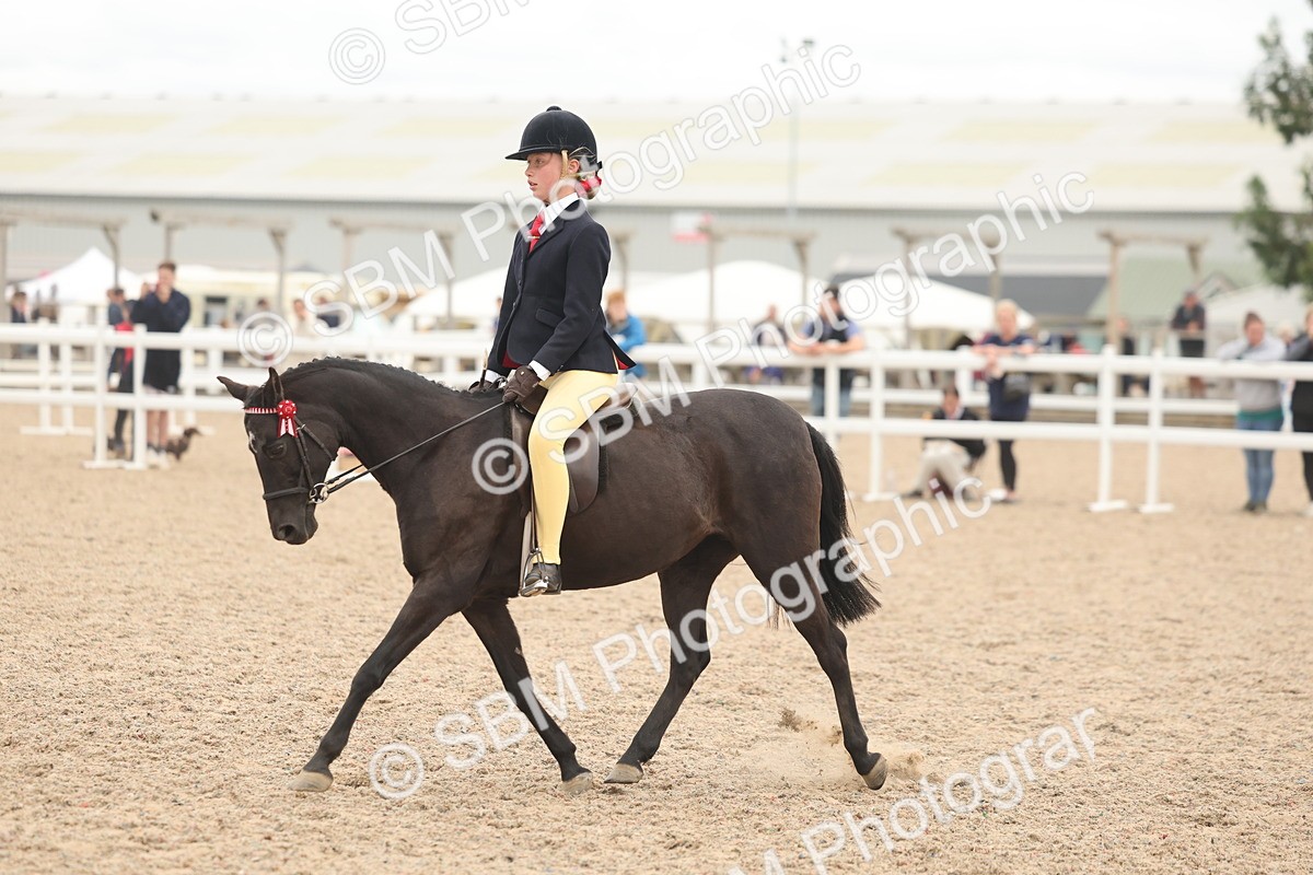 SBM_19140 - Class 316 - Best Pony-Rider Combination