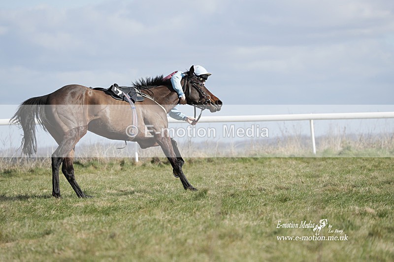 PtP 260223 499 - South & West Wilts Point-to-Point Larkhill 26/02/23