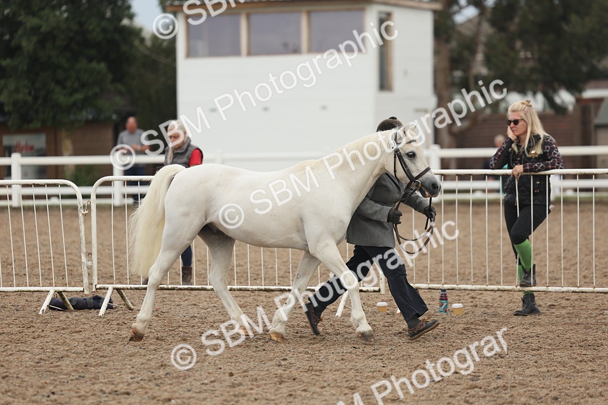 SBM_08491 - Class 29 - IH Veteran Pony