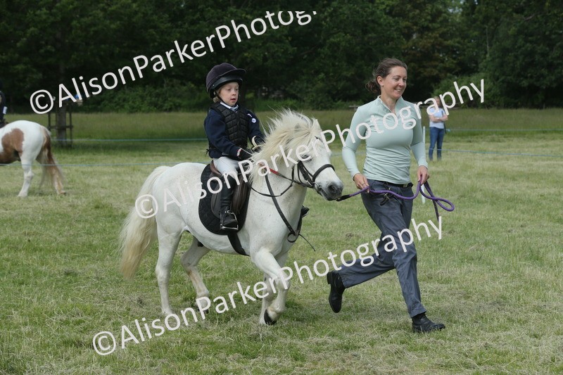 20260614-0201 - Class 1 - 30cm Lead Rein