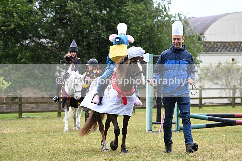 WJ6_9071 - Class 11 Fancy Dress