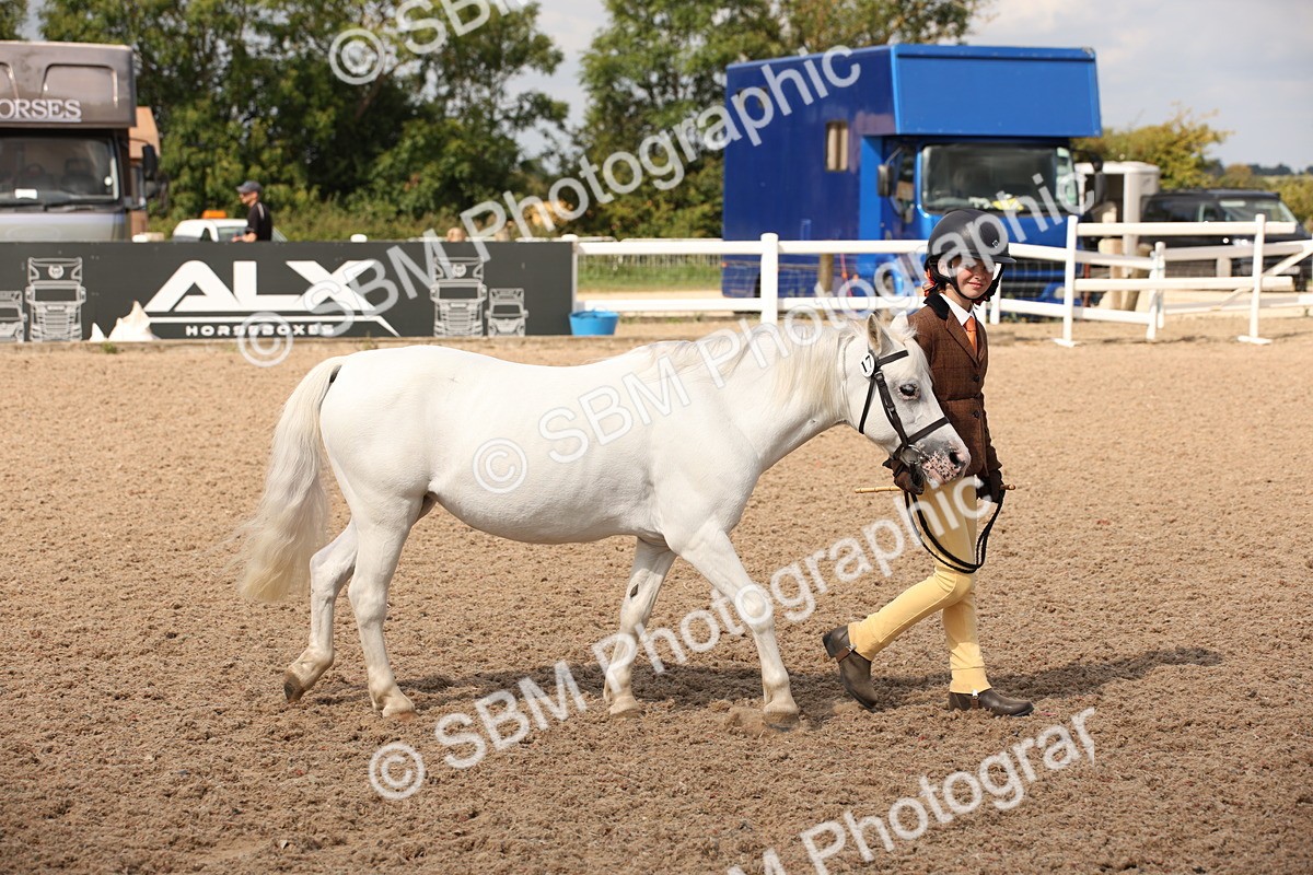 SBM_03751 - Class 19 Judge's Favourite