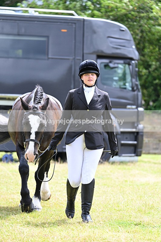 WJ7_6824 - Class 5a Most Handsome Gelding in Hand