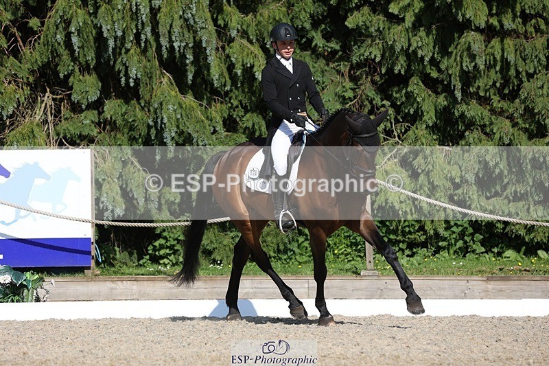 230526-165841-07877 - 174-LANCELOT_BMG-Alfie_Marshall-WEDTrotUp+DR