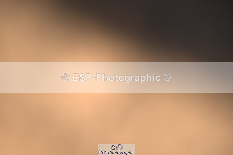 240418A-131618-02928 - Cls 37, Amateur 1.05m