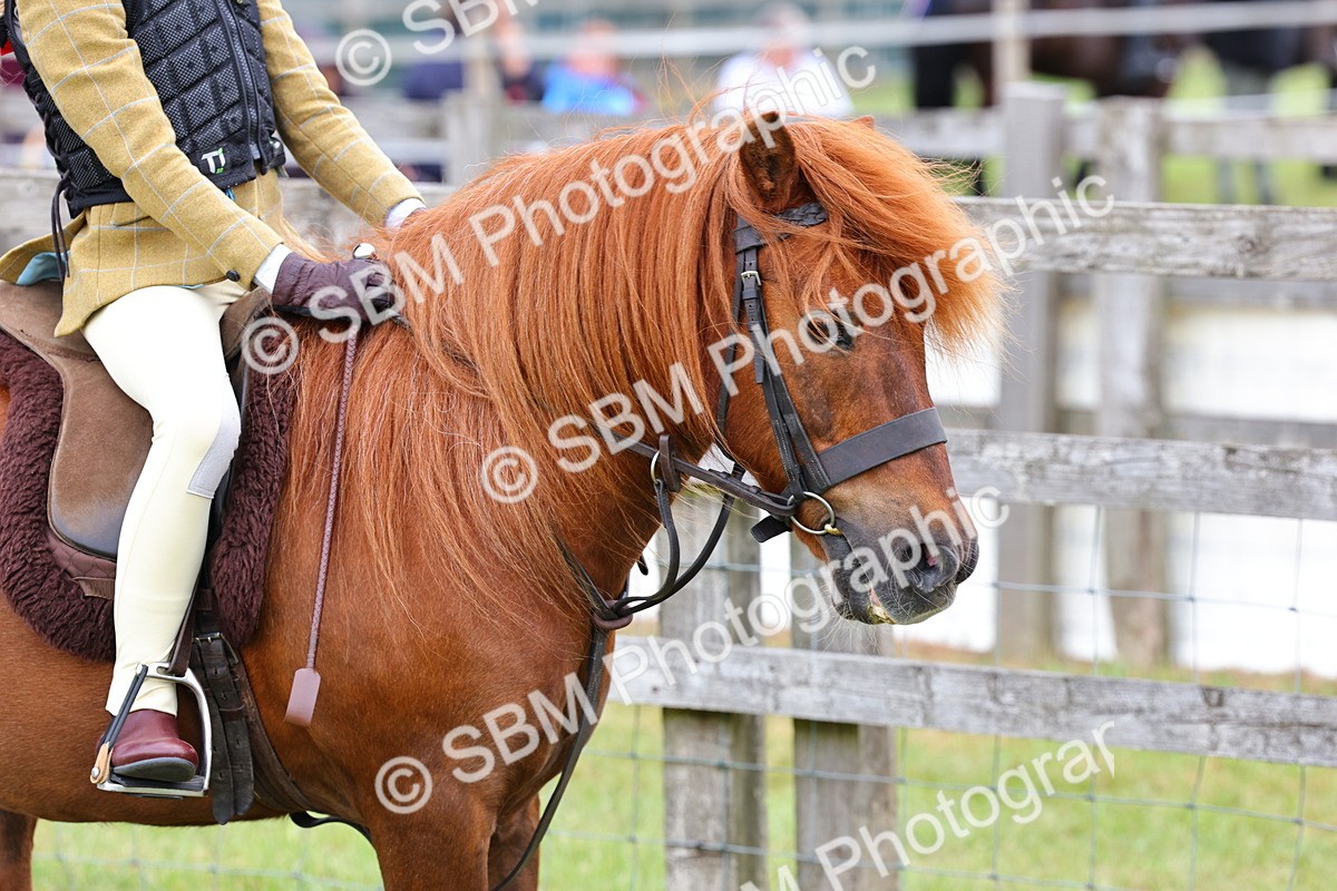 SBM_08437 - Class 42-43 - LIHS BSPS Heritage Working Sports Pony