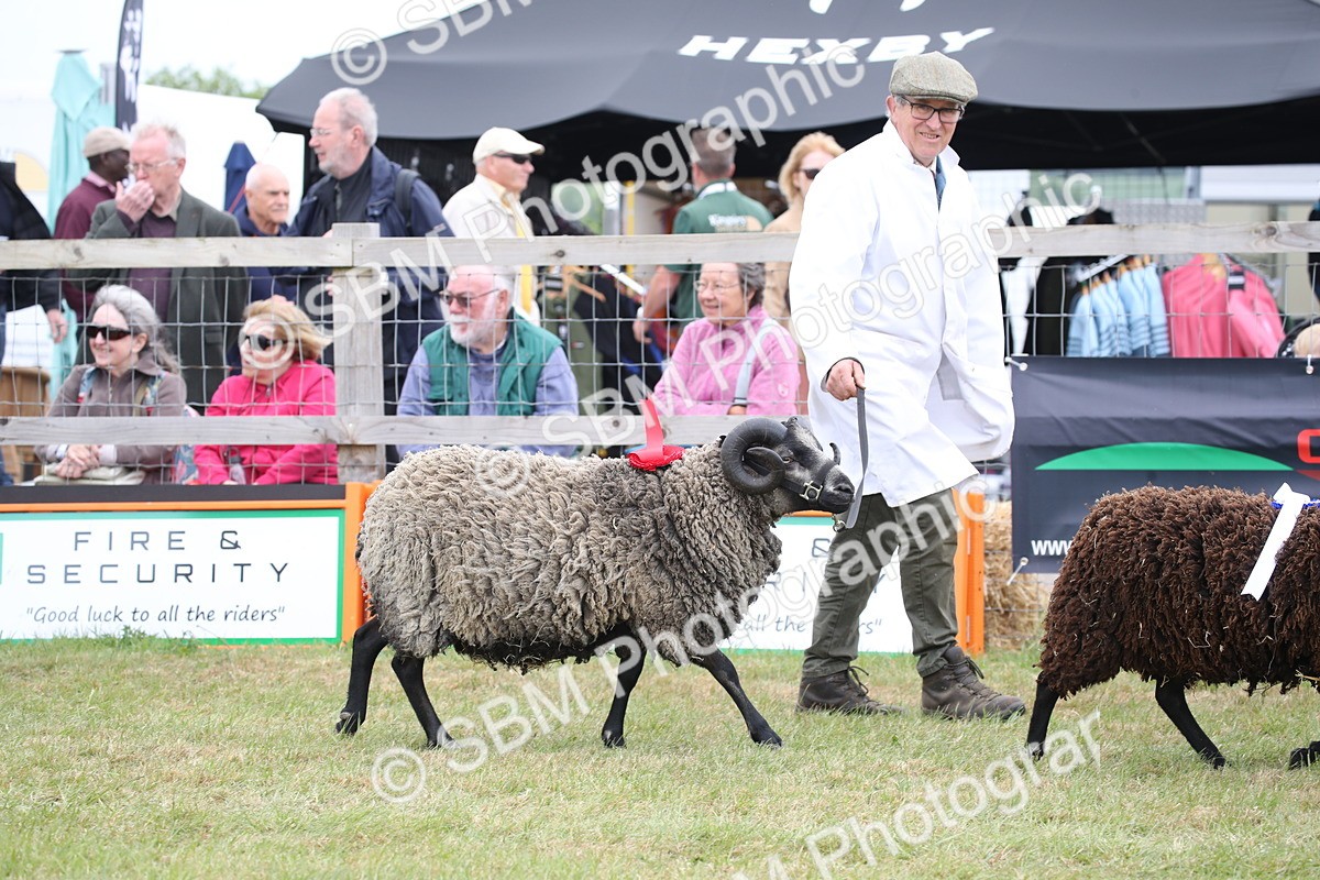 SBM_07808 - Grand Parade