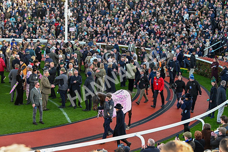 130326-Race 5-Gaelic Warrior-2955 - 13th March