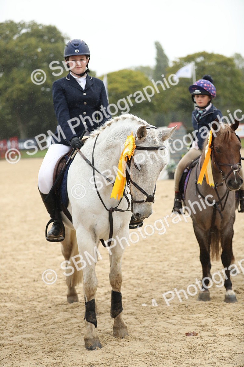 SBM_74111 - J16 - Junior Pony 75cm Championship