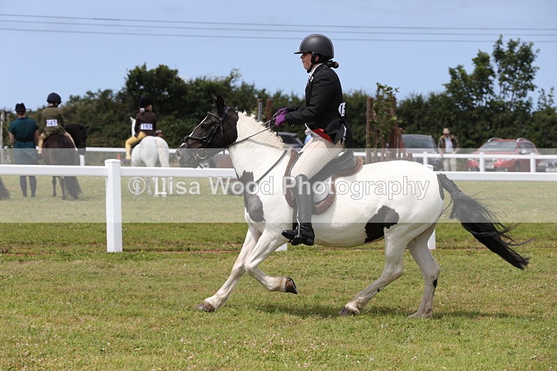 1X9A4683 - Class 34: Veteran Ridden