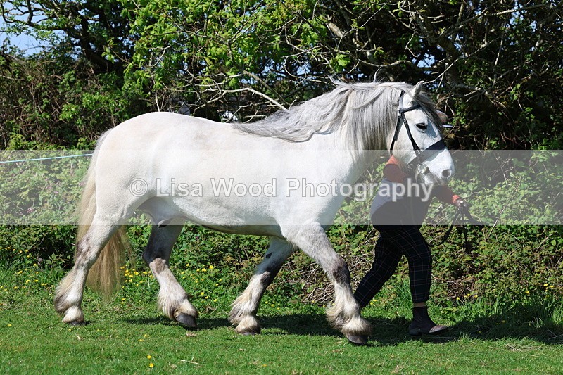 3E7A9338 - Class 16: Best Grass Kept