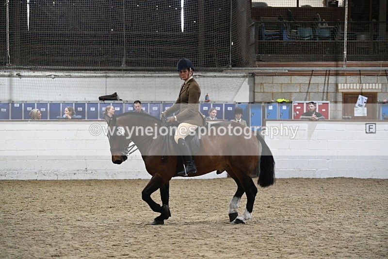 WJ7_3982 - Class 17 Ridden Cob