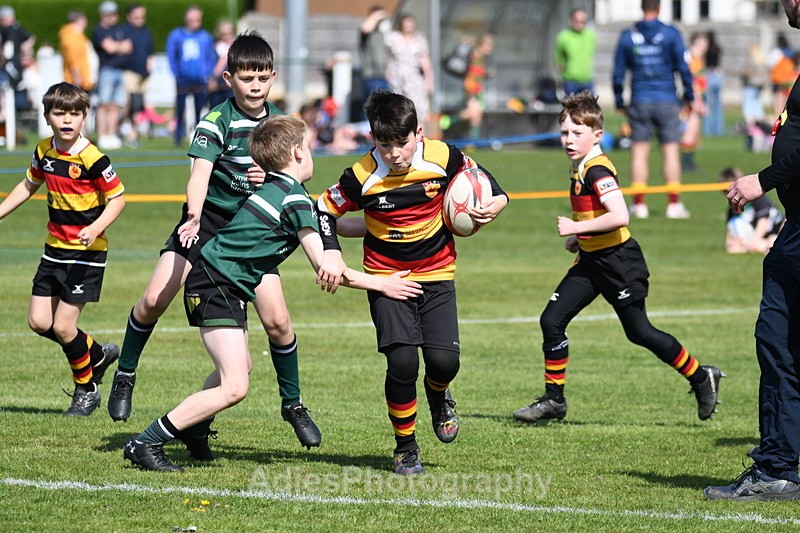  - Selby Rugby Festival 2025
