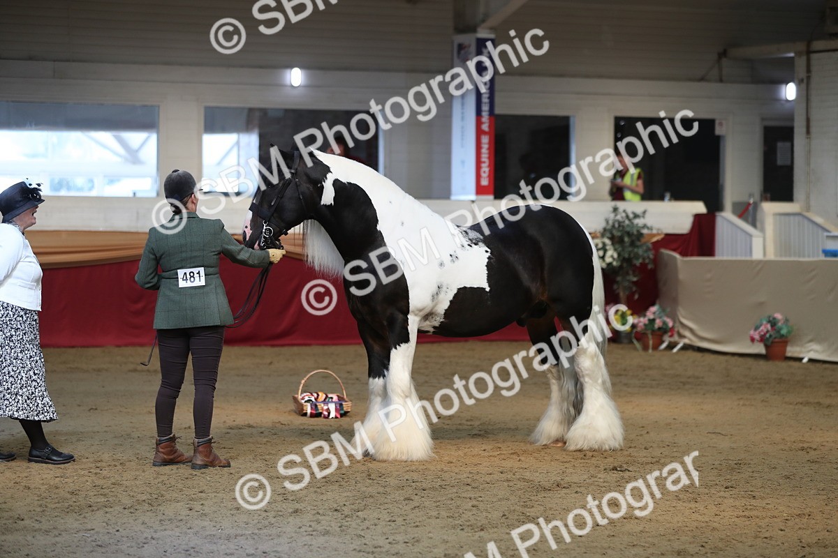 SBM_01366 - Class 3a Area IH Pre Vet