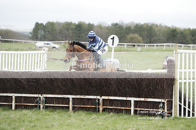 PtP 260323 0510 - New Forest Hounds Point-to-Point Larkhill 26/03/23