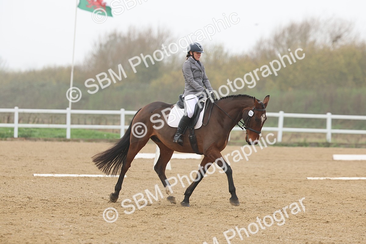 SBM_002005 - Class 5 - Novice 27