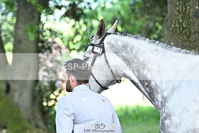 250521A-153317-00585 - B-311-Barnie.Brotherton-WHIXLEY.QUALITAS