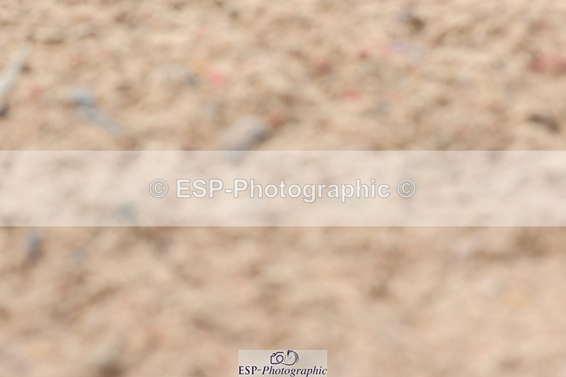 240706A-133114-02825 - Cls 8A Snr RT Prelim 12 Start to 14.30 break