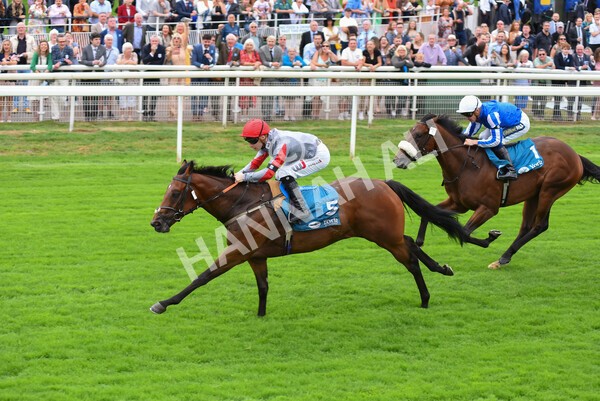 yr04092022r1-38 - Race 1 1.45pm IRE Incentive, It Pays To Buy Irish EBF Novice Stakes