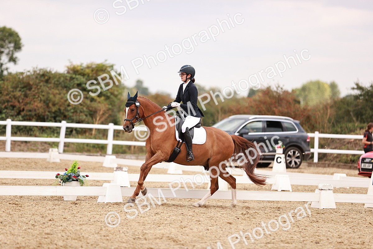 SBM_019296 - Class 20 - Medium 5