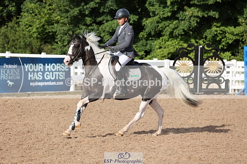 240629A-081807-02499 - Cls 16 British Novice and 80cm Open