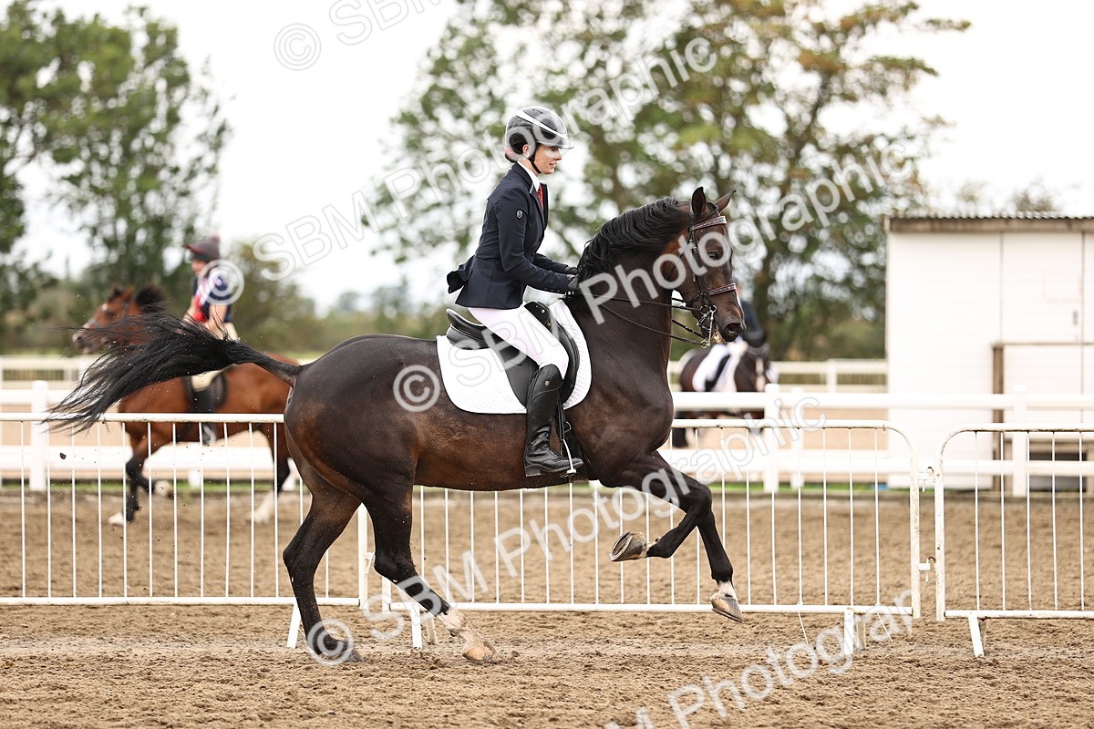 SBM_01427 - Class 54 - Riding Club Horse Pony