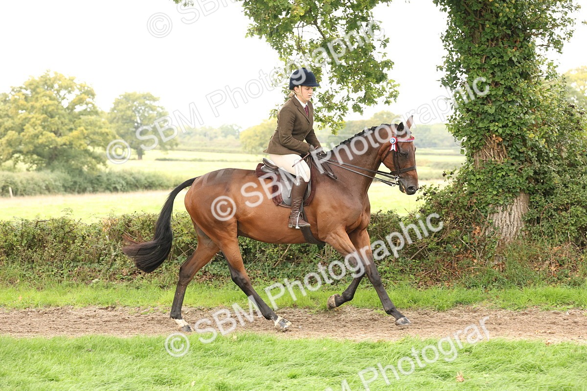 SBM_64214 - S65 - Riding Horse & Hack & Thoroughbred Ridden