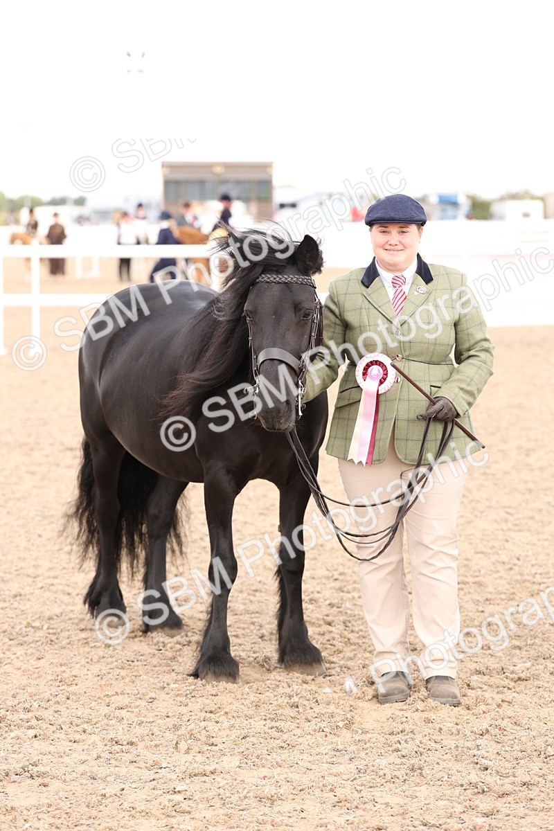 SBM_15148 - Class 209 - IH Veteran Pony