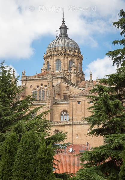 Salamanca cathedral - Portugal and a hint of Spain