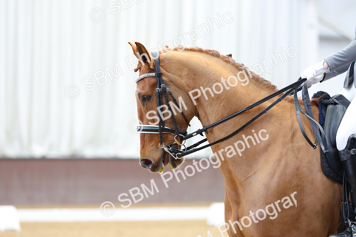 1I0A9171 - Class 11 - Medium 5