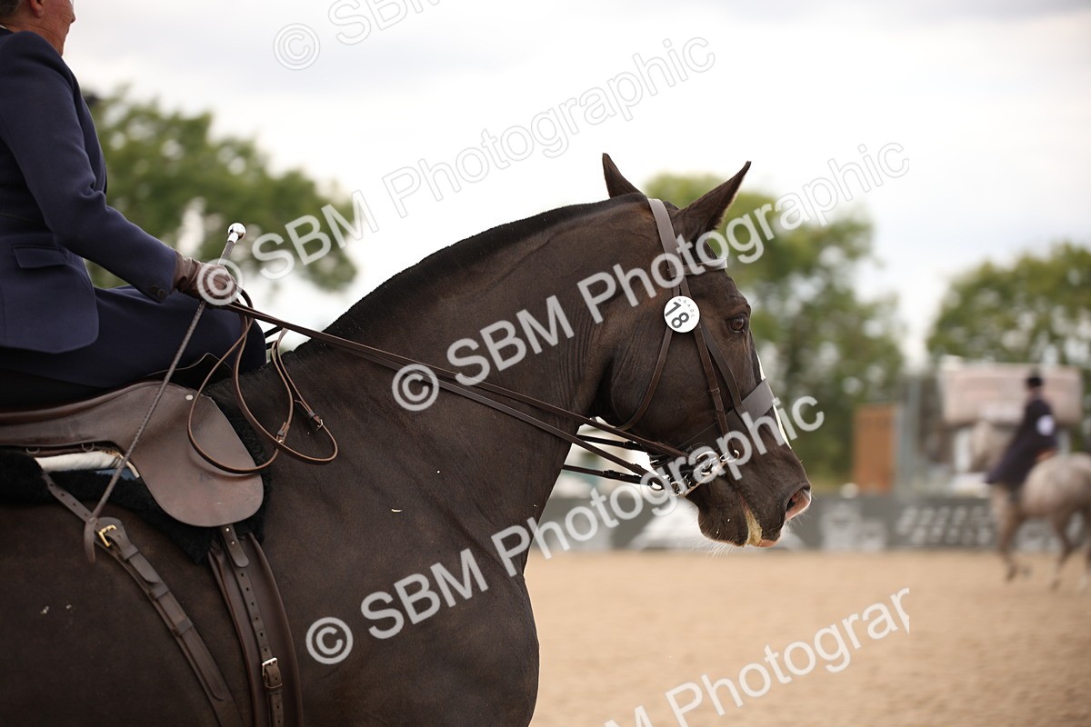 SBM_05352 - Class 22 SSA Equitation