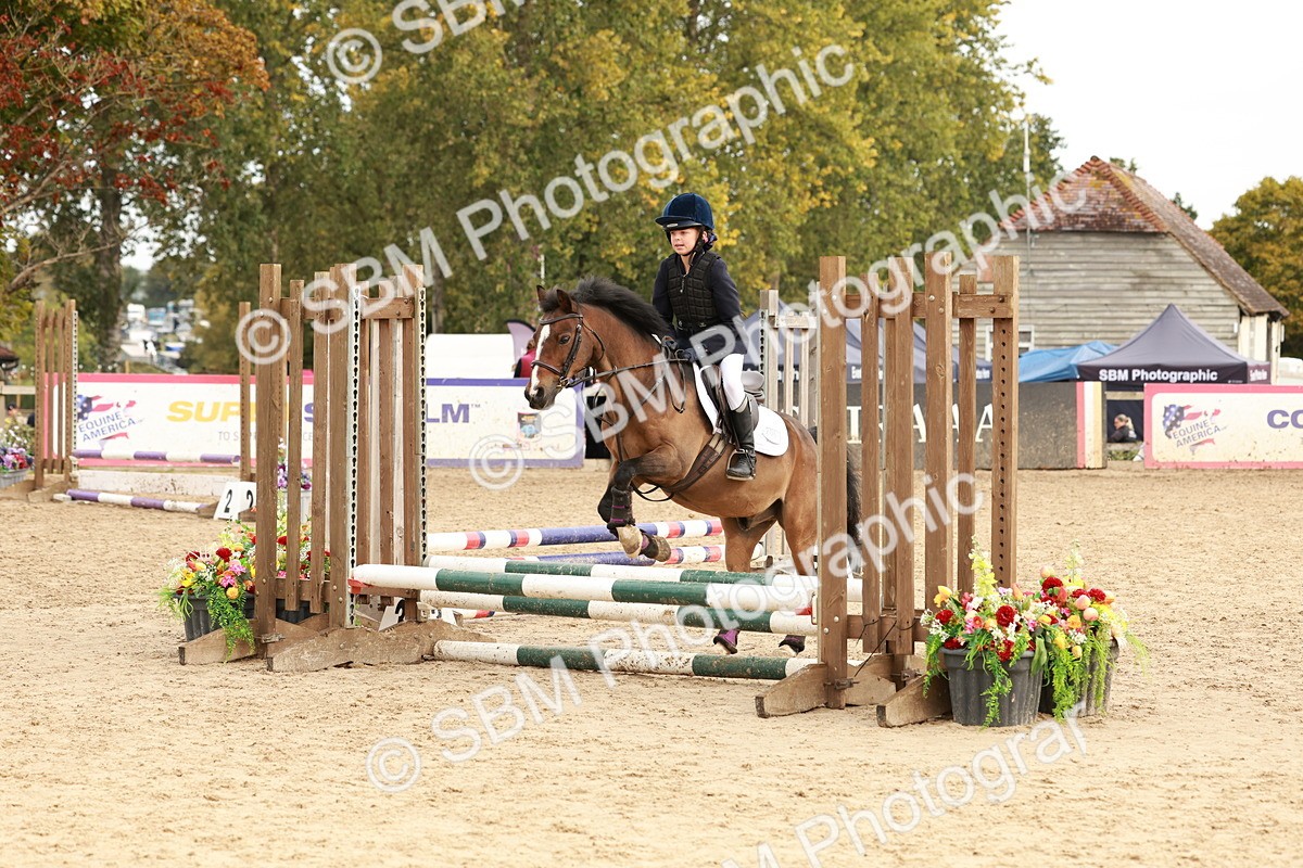 SBM_57783 - J11 - Junior Pony 50cm Championship