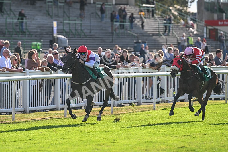 290825-Race 7-Crocus Time-9264 - Race 7