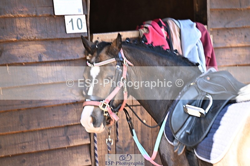 240729B-094331-01812 - Monday Stable Shots