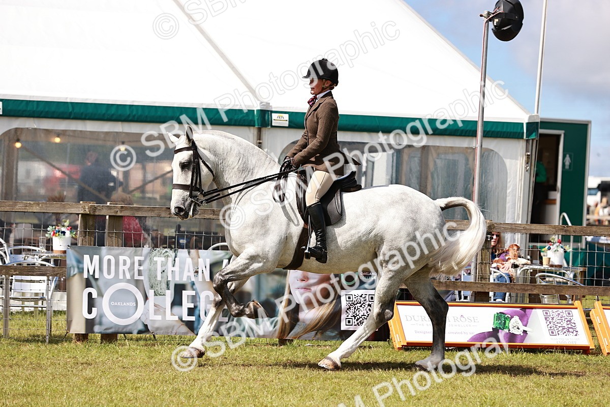 SBM_14028 - Class 85-87 - RIHS Cobs