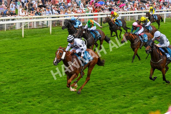 100923-Race 7-Looking For Lynda-1254 - Race 7 4.55pm Brian Taylor 50 Not Out Apprentice Handicap