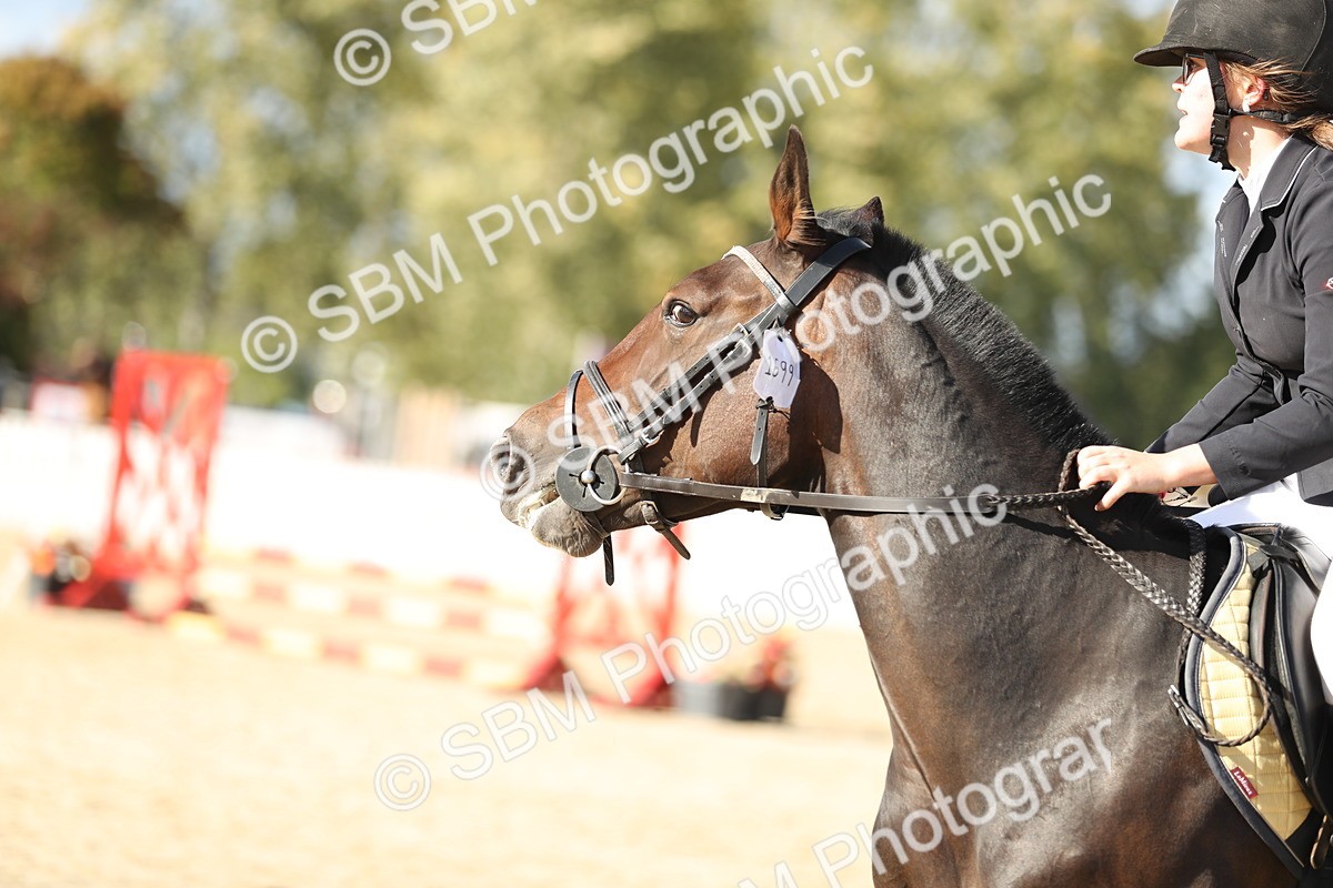 SBM_49614 - J22 - Junior Horse 65cm Championship