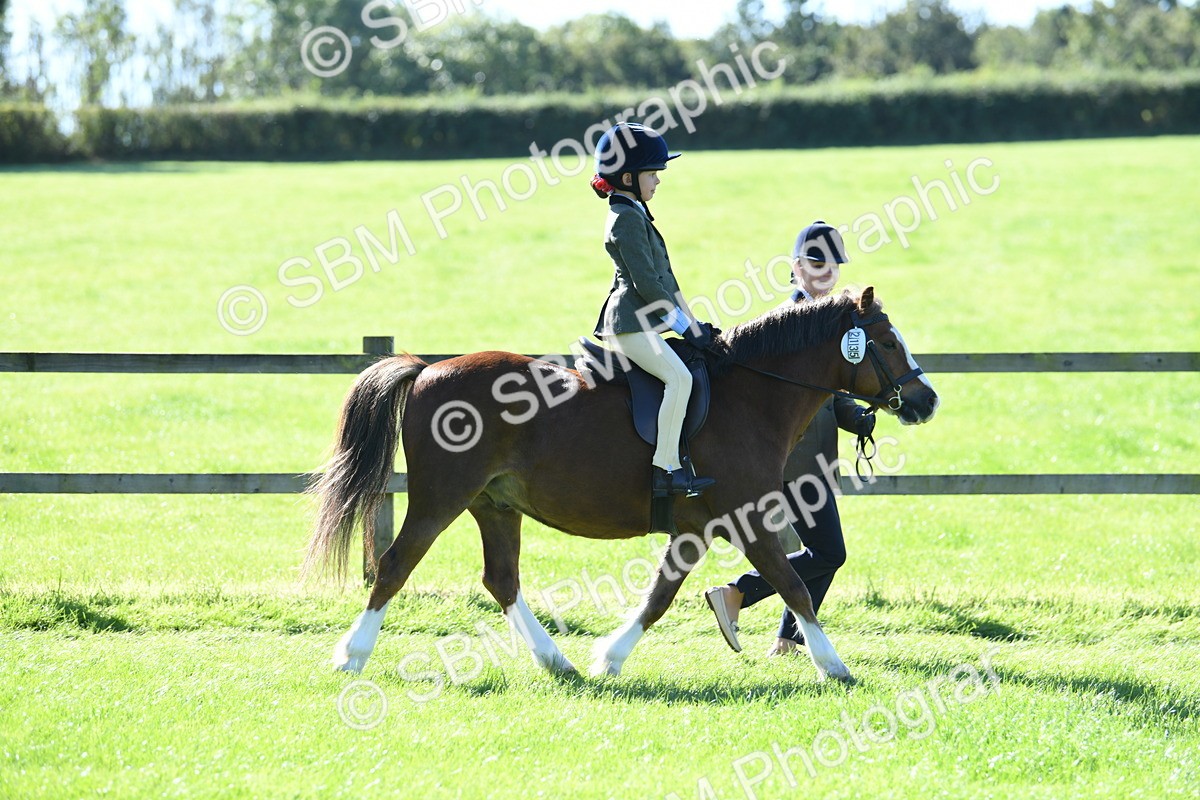 SBM_39528 - S18 - Novice & Newcomers Lead Rein Pony