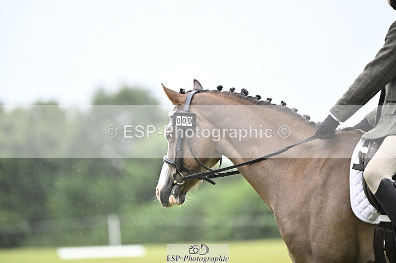 240824X-092843-21302 - D70 Section A and B 8.30 to 9.30