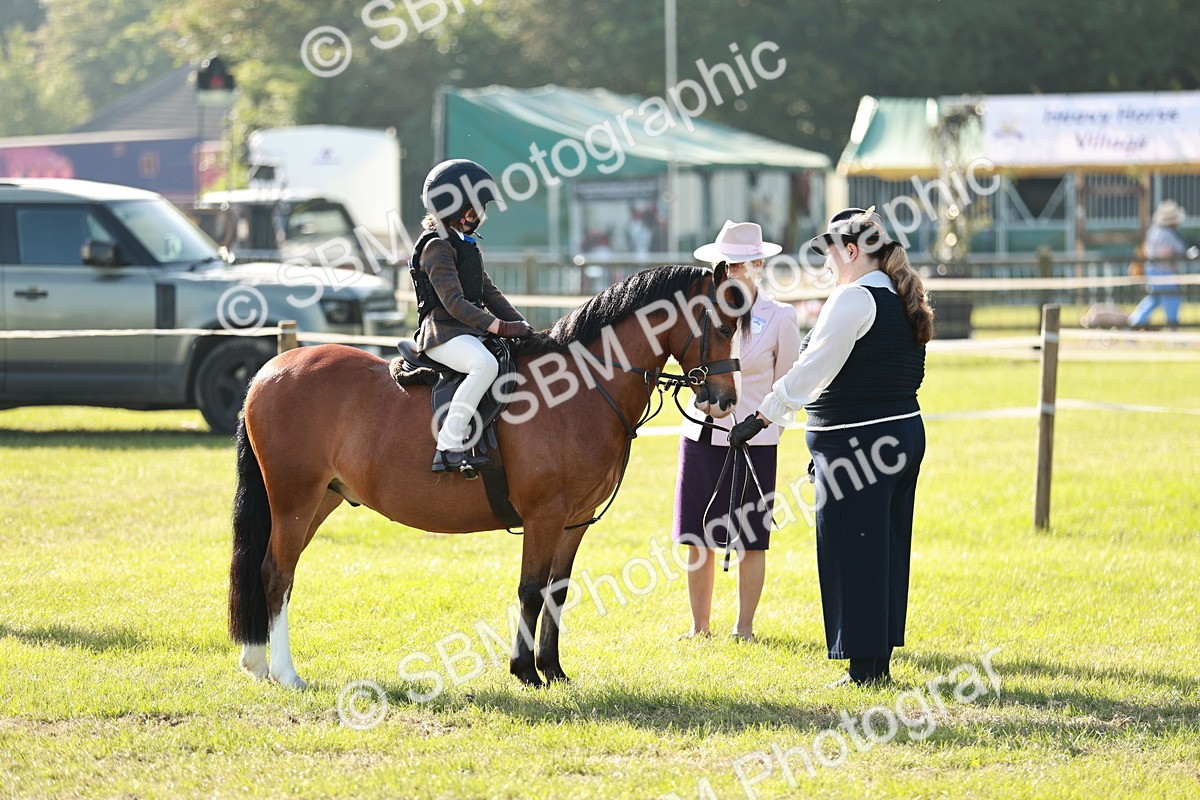 SBM_11137 - Class 106-107 - BSPS LIHS Working Sports Pony