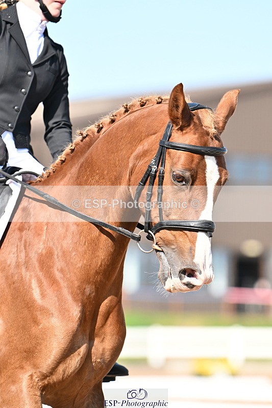 240816A-160956-06098 - 134-Mia.Marshall-Vino