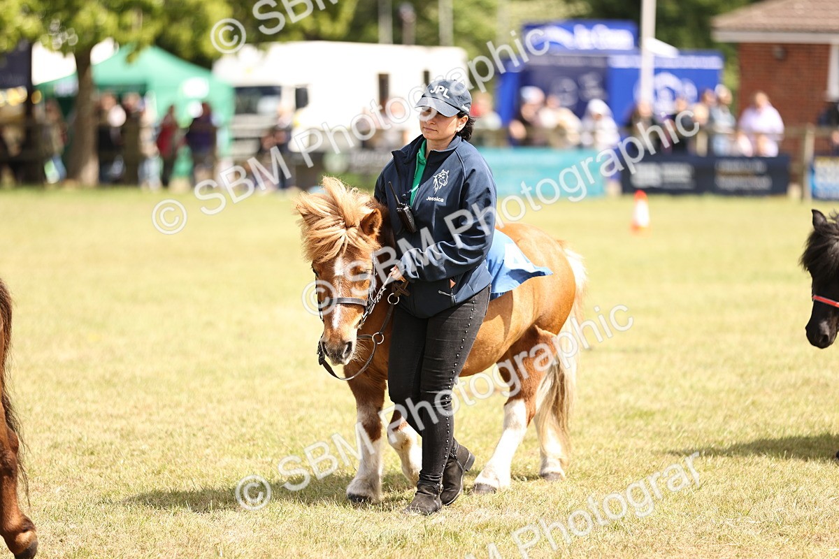 SBM_16381 - Dinky Derby