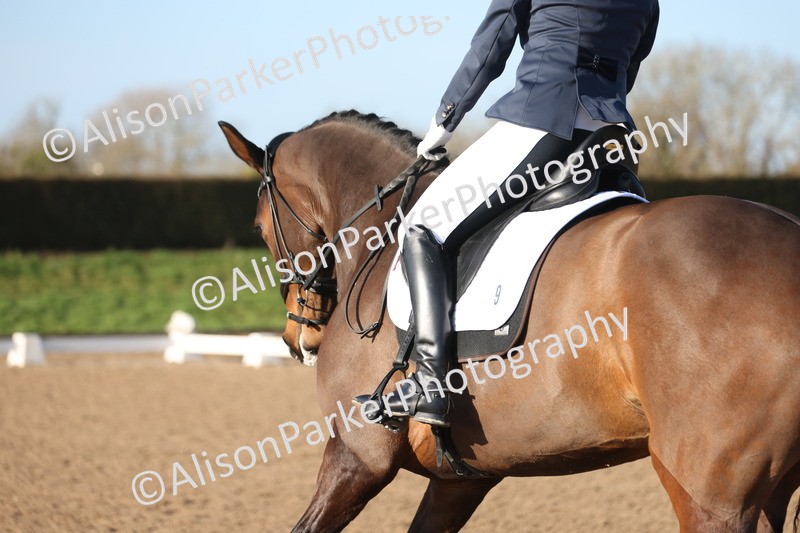 20260128-0215 - Class 3 - Novice 4