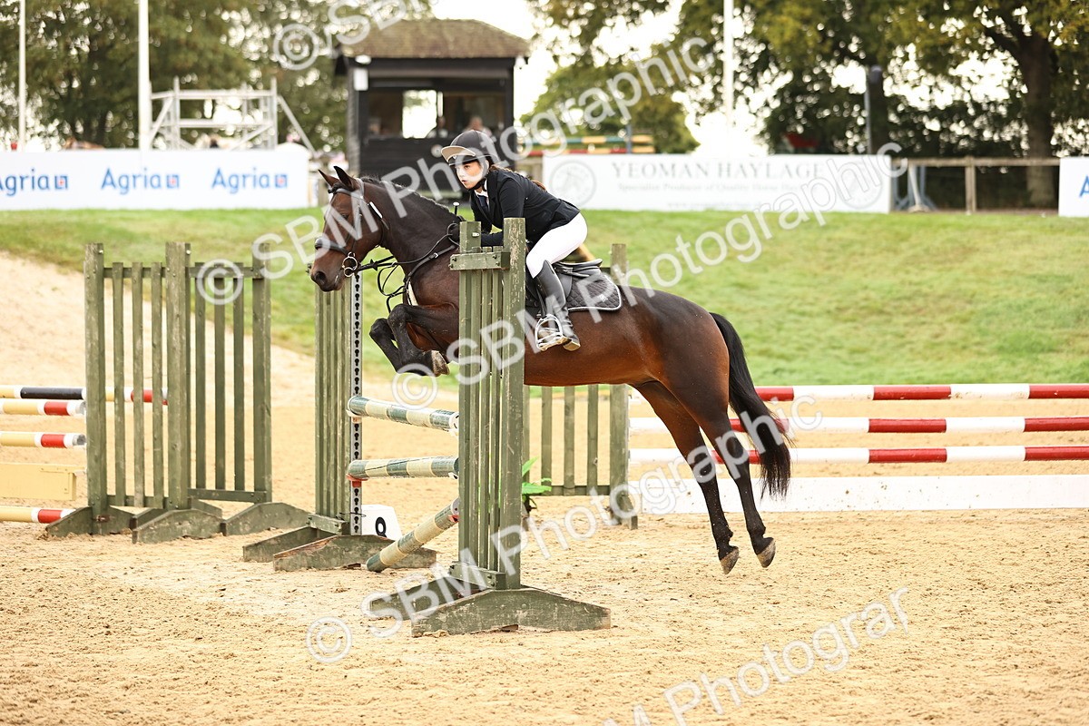 SBM_58293 - J41 - Grand Tour Horse & Pony 95cm