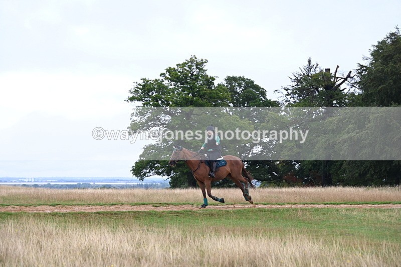 DSC_3738 - Time at Statue 13:51 to 14:55