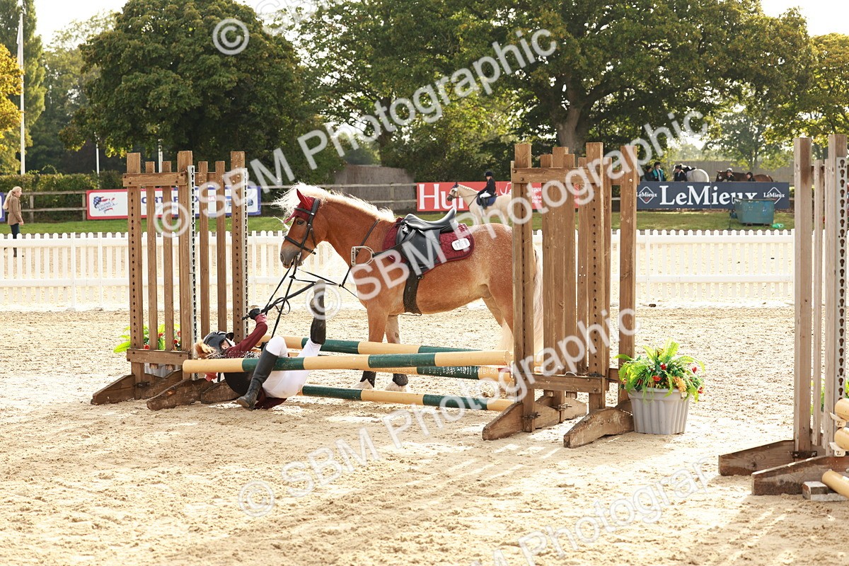 SBM_55694 - J11 - Junior Pony 50cm Championship